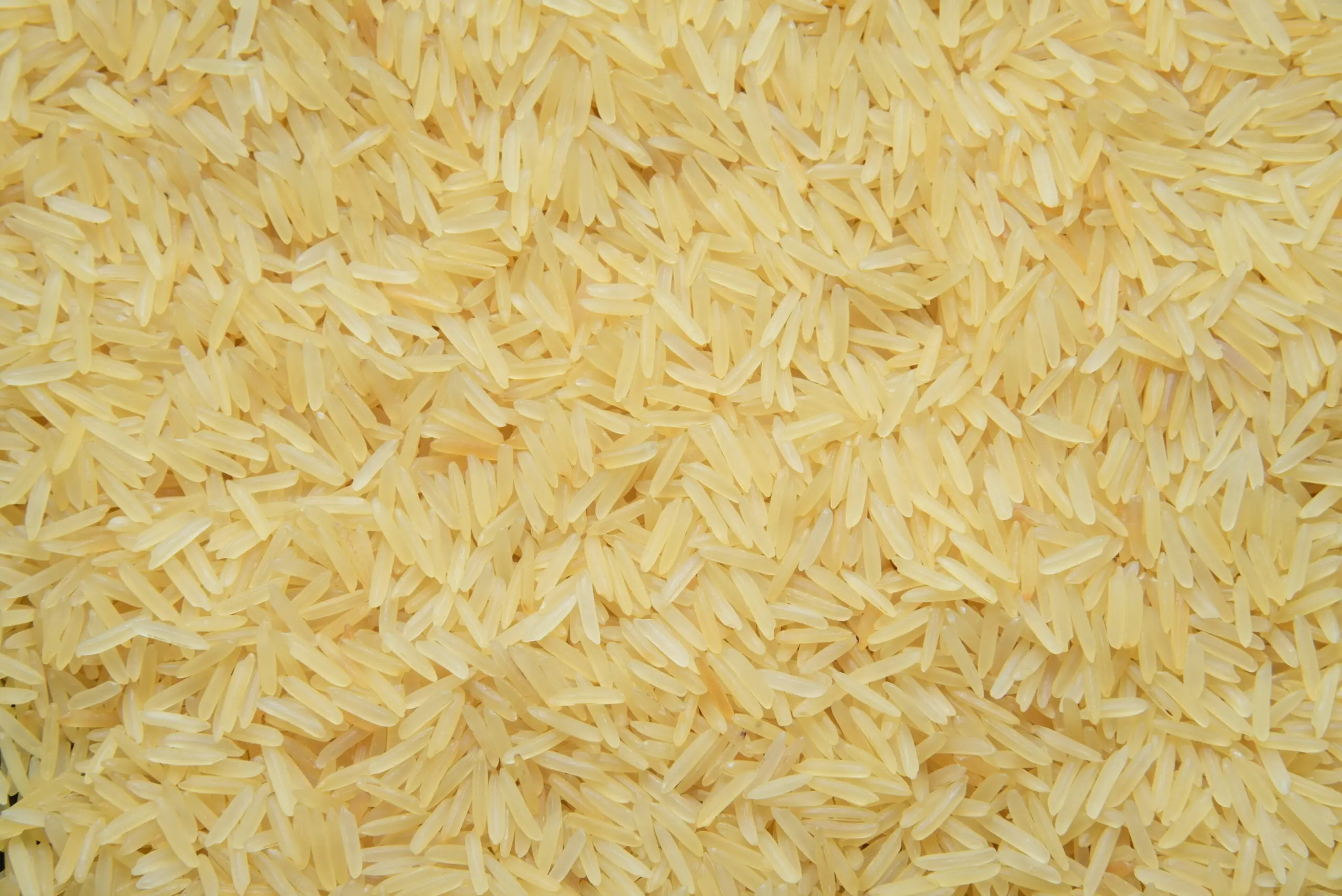 PARMAL RICE PR 14