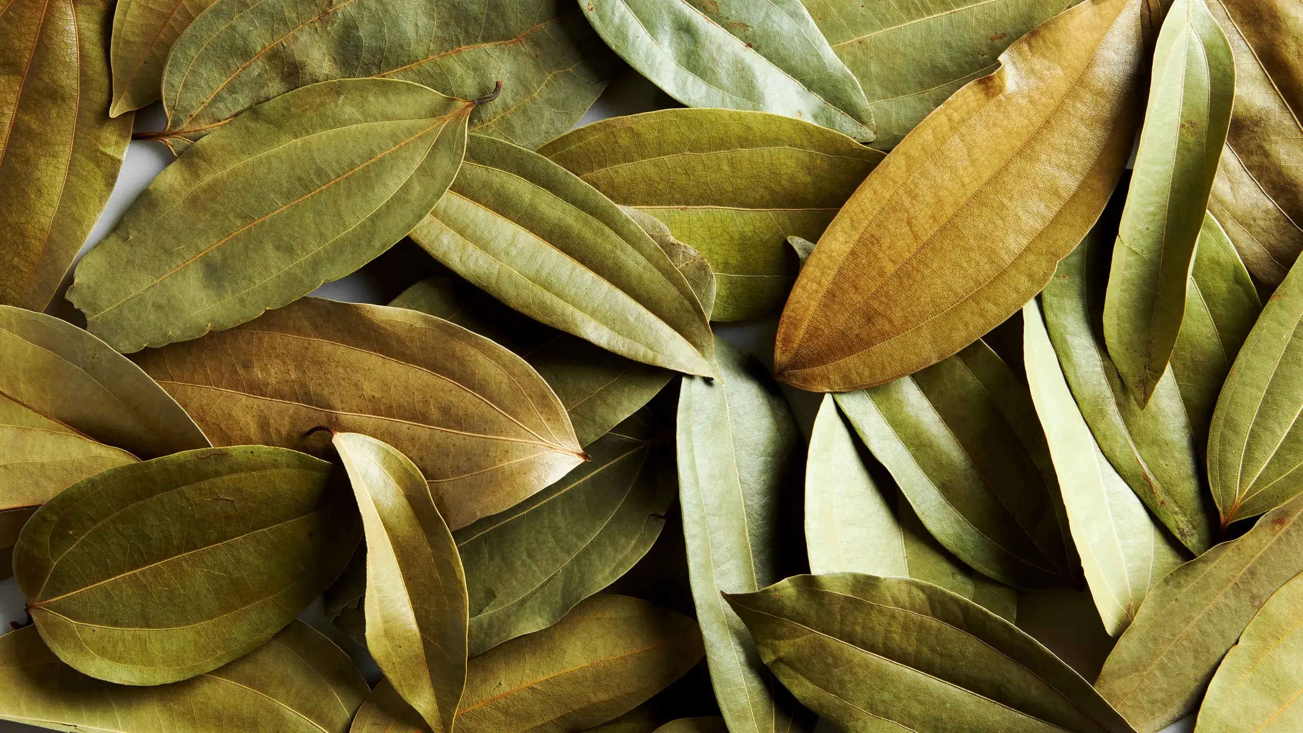 BAY LEAVES
