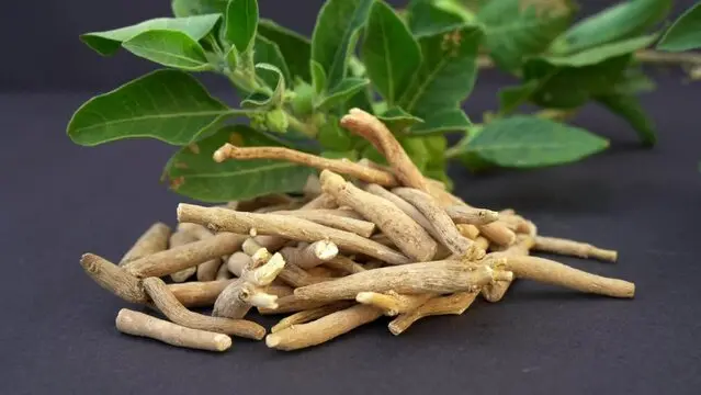 ASHWAGANDGHA ROOTS