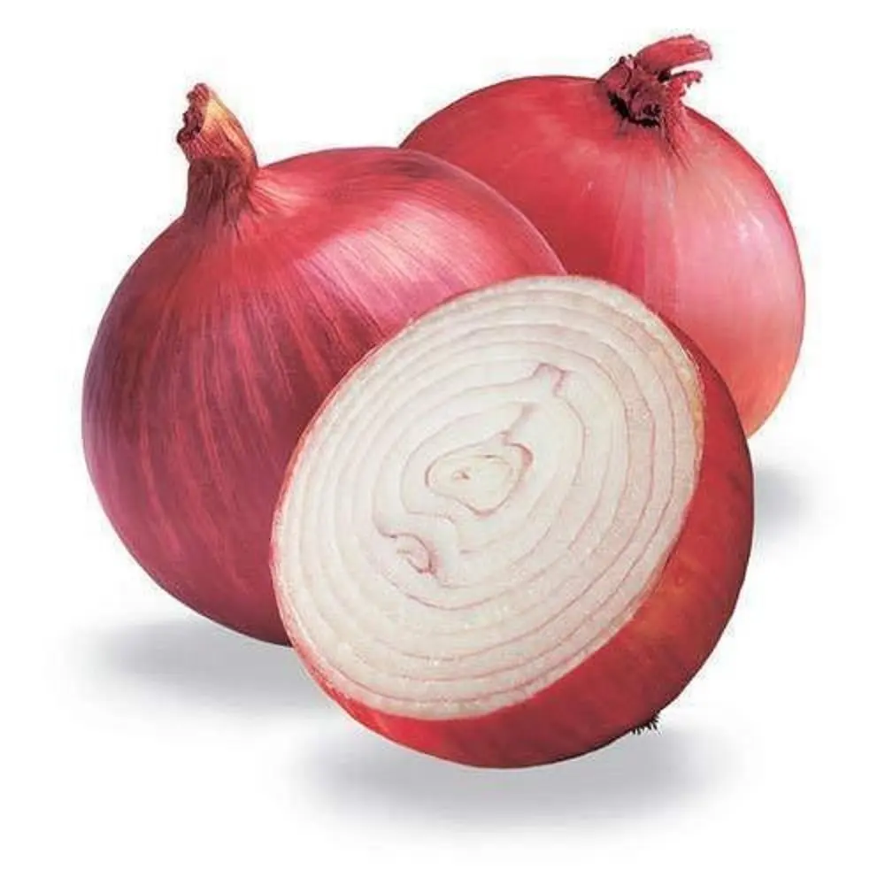 PUSA SONA ONION