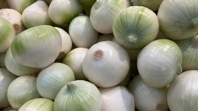 BHIMA SHWETA ONION