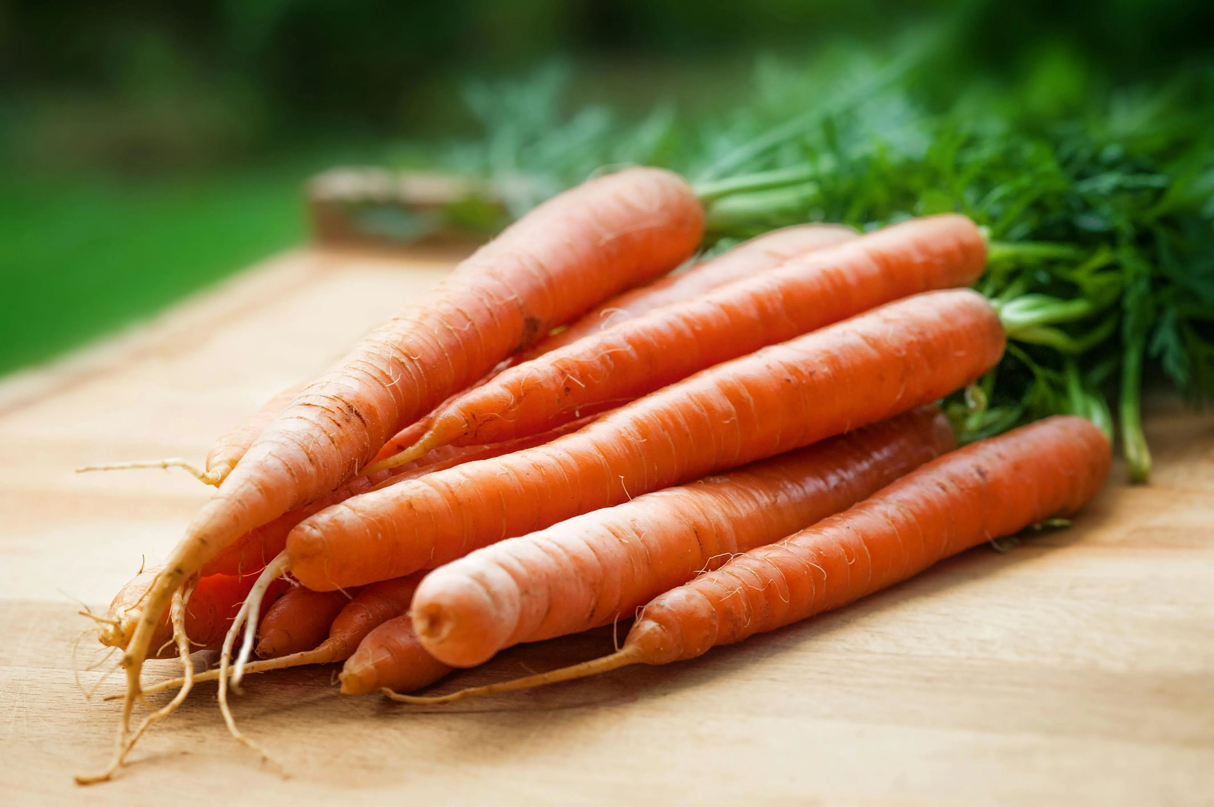 CARROT GRANUELS